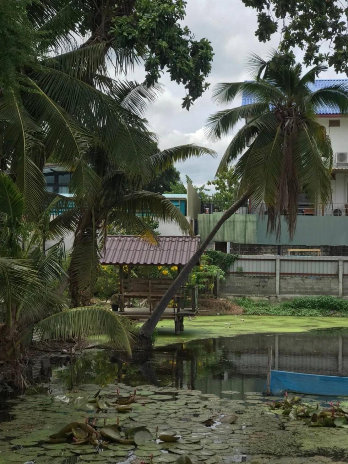 Baan Lotus Guest House Ayutthaya Eksteriør bilde