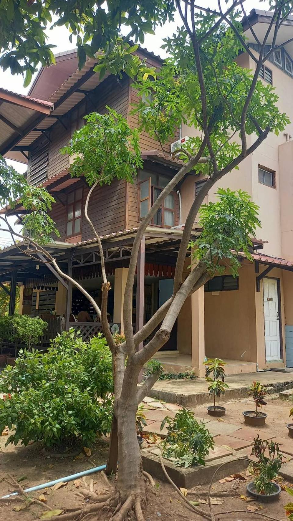 Baan Lotus Guest House Ayutthaya Eksteriør bilde